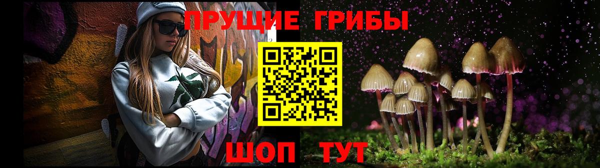 Менделеевск  Галлюциногенные грибы Psilocybine cubensis  Вход с VPN 